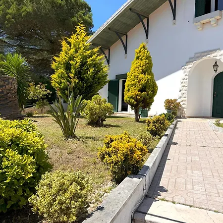 Side Leiria